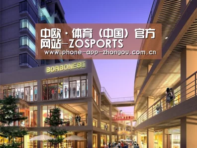 案例展示一(图1)
