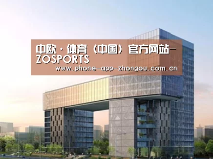 案例展示四
