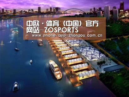 案例展示八