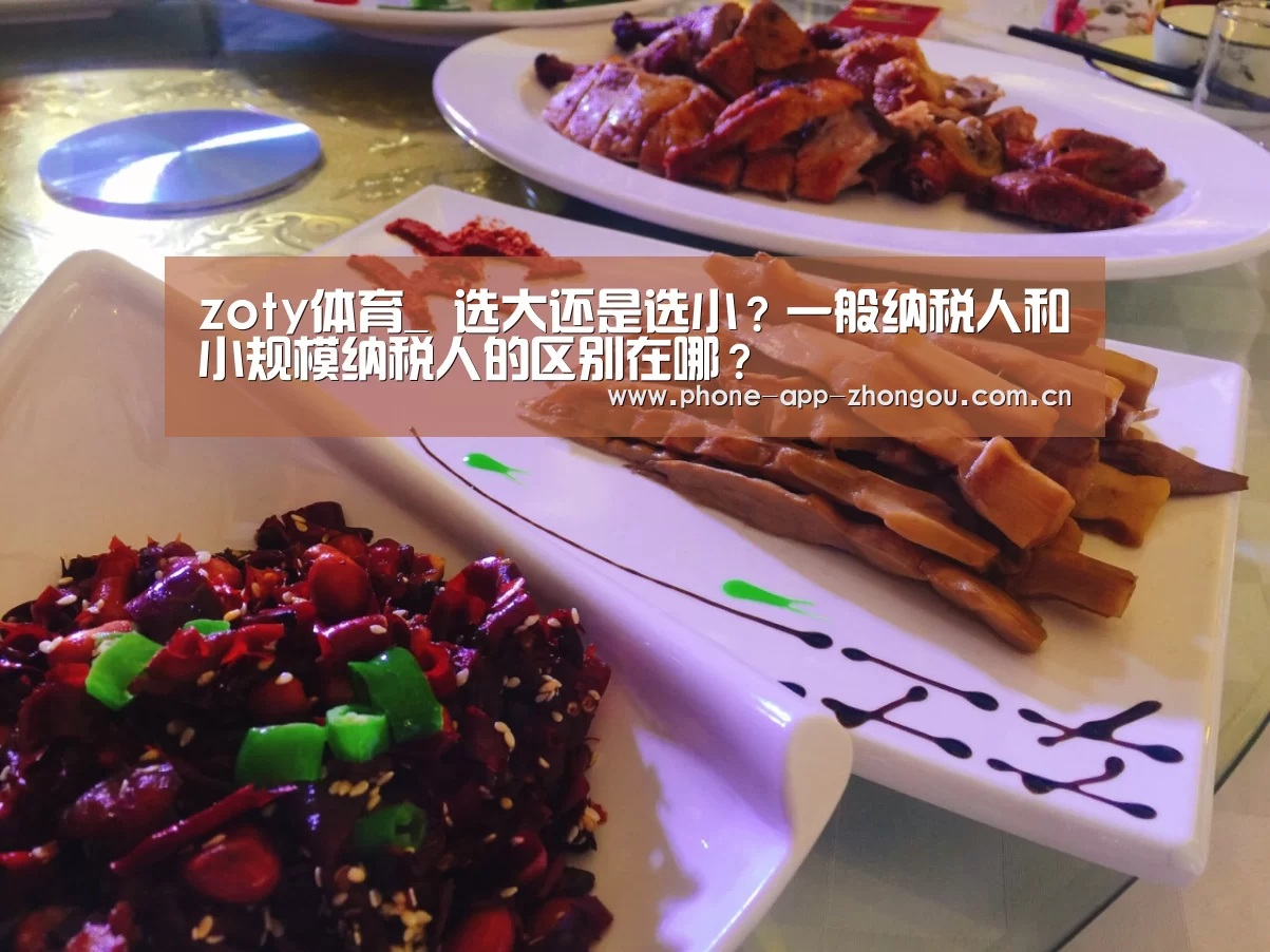 zoty体育_
选大还是选小?一般纳税人和小规模纳税人的区别在哪?(图1) 中欧体育平台