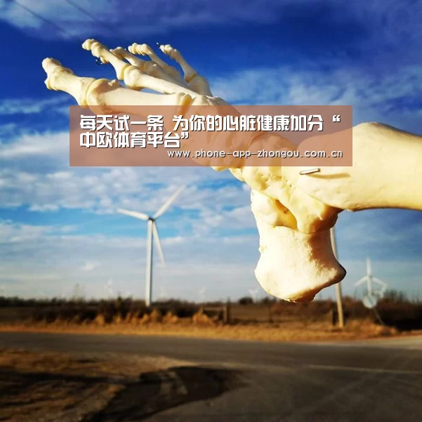 中欧体育平台