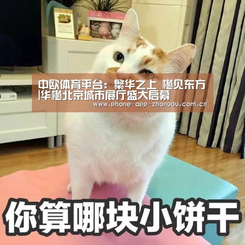 中欧体育平台:繁华之上 樾见东方|华樾北京城市展厅盛大启幕(图4) 中欧体育官网