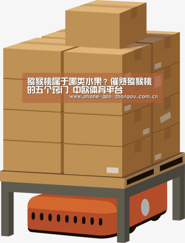 中欧体育官网