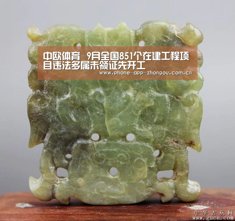 中欧体育