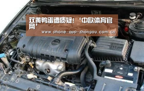 双黄鸭蛋遭质疑!‘中欧体育官网’(图4) 中欧体育官网
