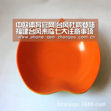 中欧体育官网|台风杜鹃登陆福建台风来临七大注意事项(图2) 中欧体育平台