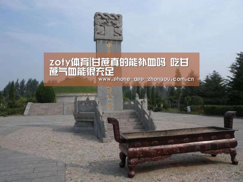 中欧体育官网