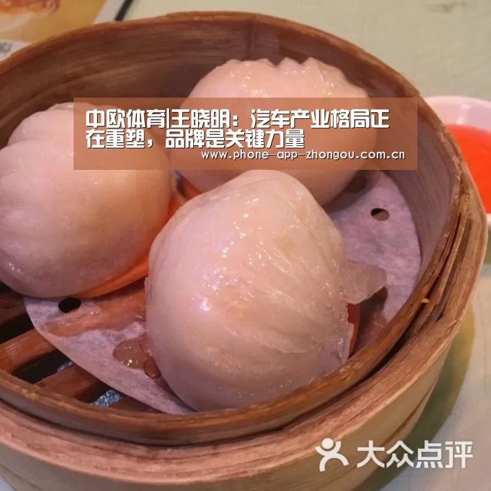 中欧体育