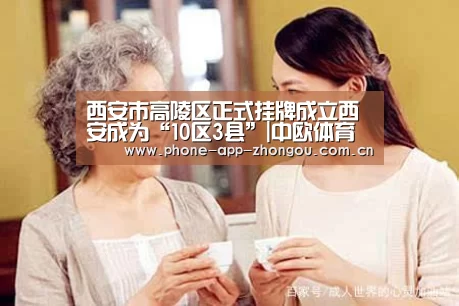 中欧体育官网