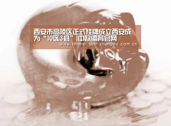 中欧体育